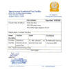 Swaha Vegan Easy Diya - Image 7